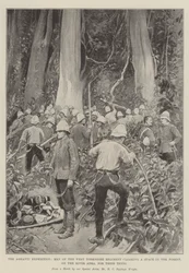 The Ashanti Expedition, Men of the West Yorkshire Regiment Clearing a Space in the Forest, on the River Adra, for Their Tents